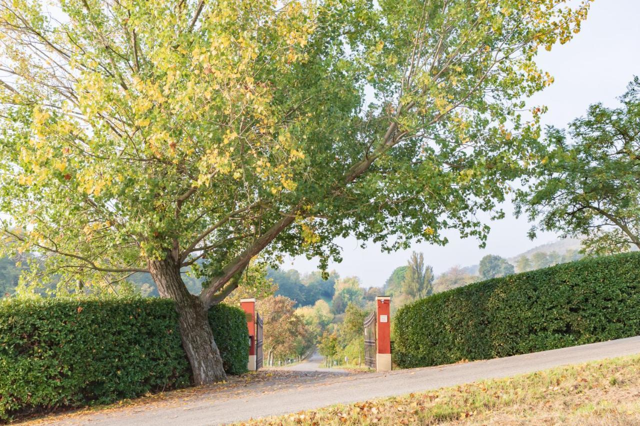 Ca Palazzo Malvasia - Bolognarooms Sasso Marconi Eksteriør bilde